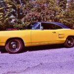 SIX-PACK TO GO SUPER BEE