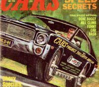 AMC PONYCAR: 390 (SUPER) JAVELIN