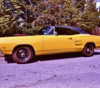 SIX-PACK TO GO SUPER BEE